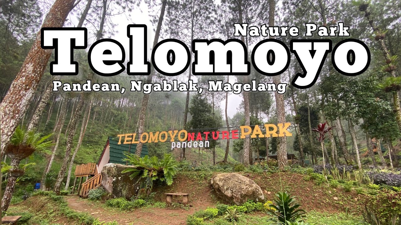 Telomoyo Nature Park: Menjelajahi Pesona Alam di Lereng Gunung Merapi